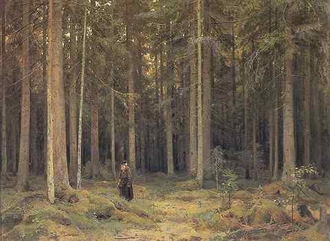 Shishkin Ivan The Forest of Countess Mordvinova 1891 A4 Photo Print