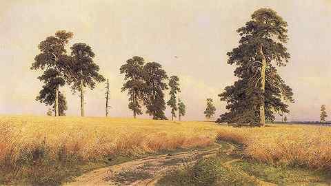 Shishkin Ivan The Rye Field 1878 A4 Photo Print