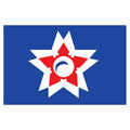 Shizuoka City Flag N2672 A4 Photo Print