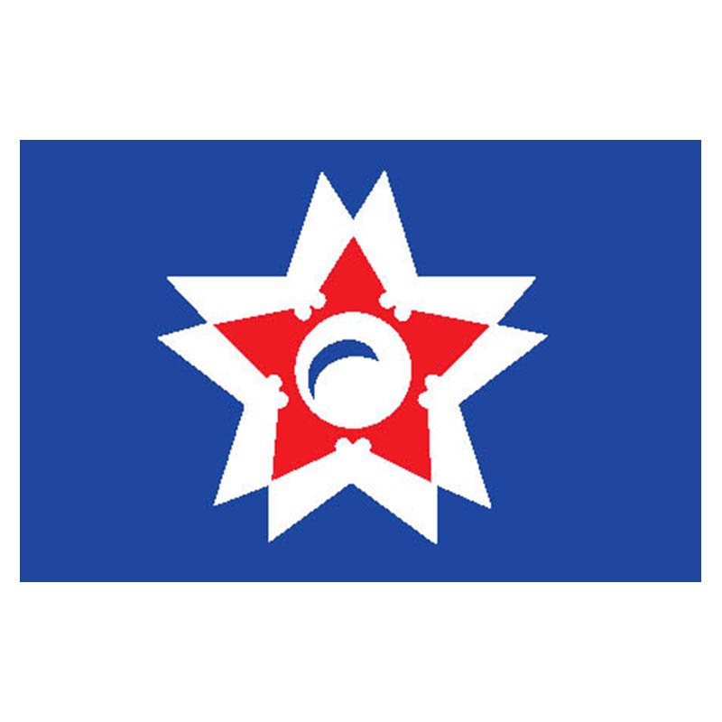Shizuoka City Flag N2672 A4 Photo Print