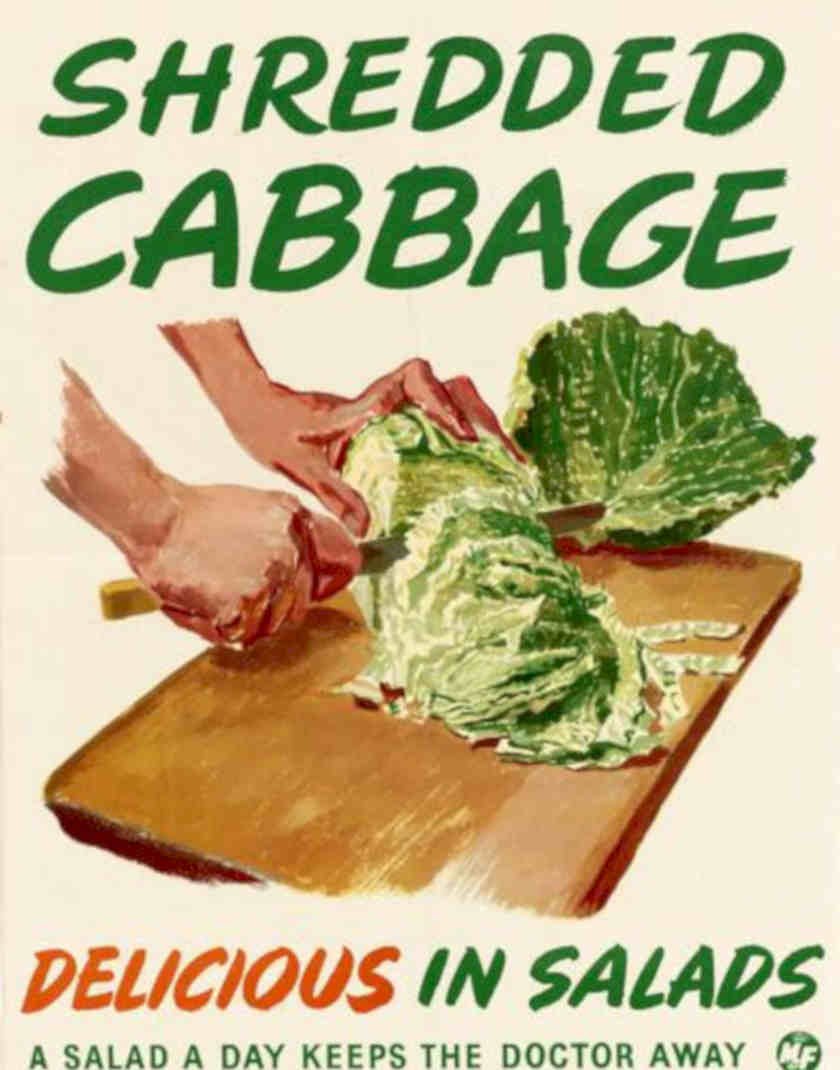 Shredded Cabbage Poster Vintage Retro Advert Poster A4 Photo Print