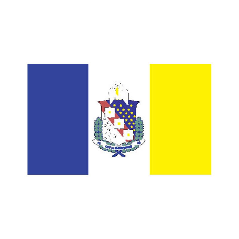 Shreveport City Flag N6166 A4 Photo Print