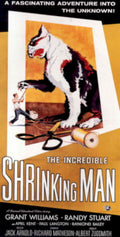 Shrinking Man Cat 1950s Vintage Retro Advert Poster