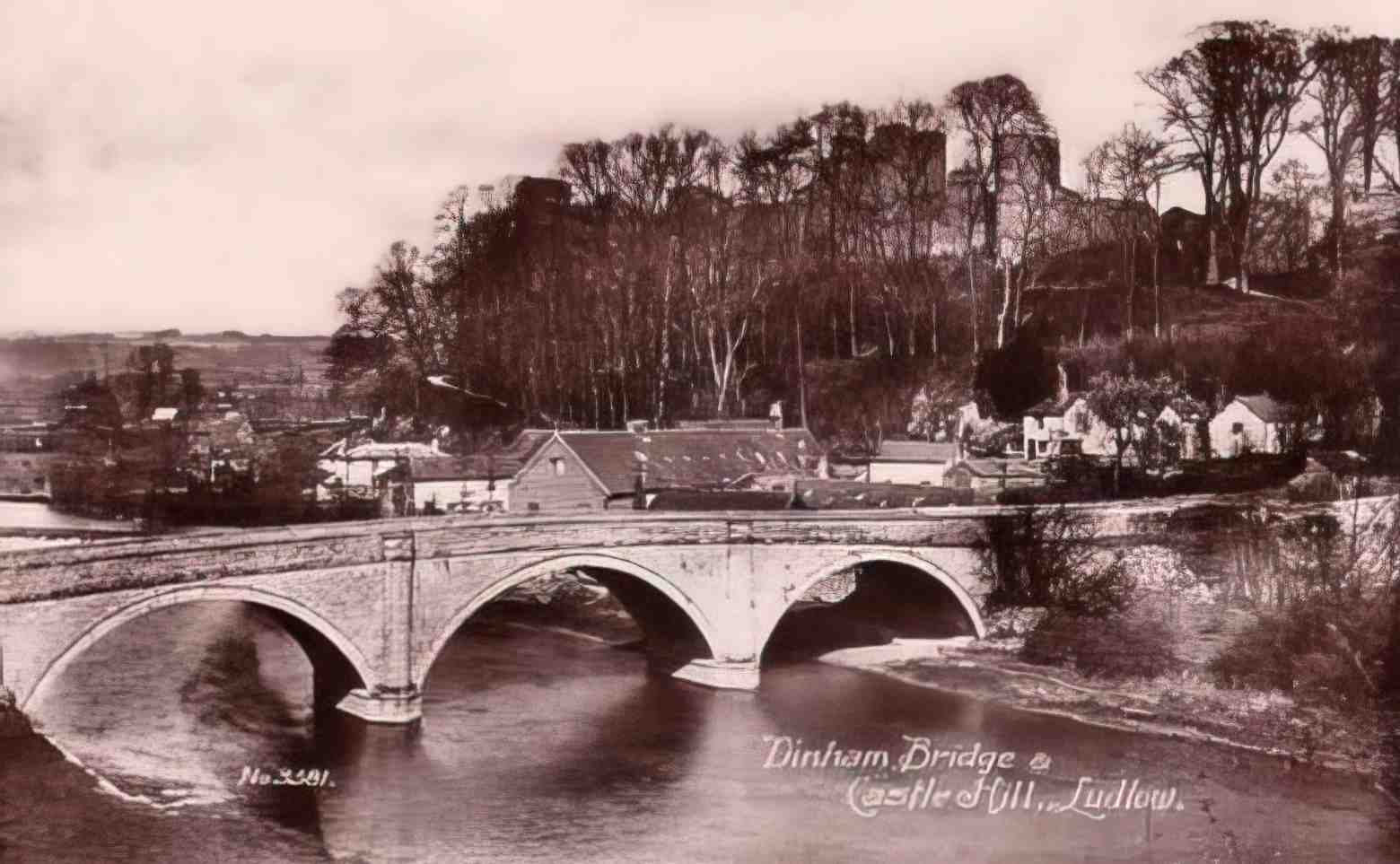 Shropshire Ludlow Dinham Bridge and Castle Hill Vintage A4 Photo Print