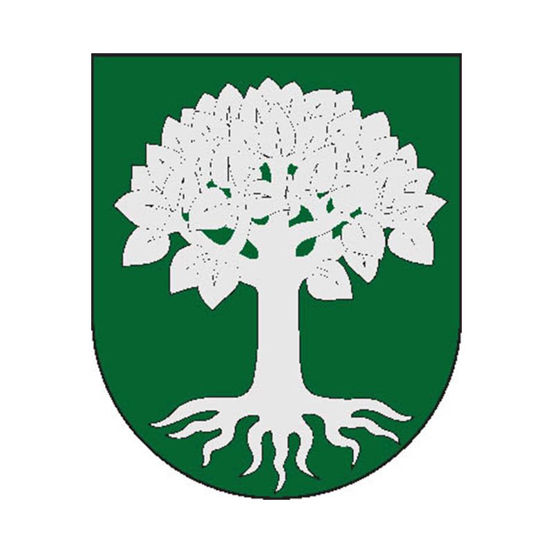 Sidabravas City Coat Of Arms N5425 A4 Photo Print