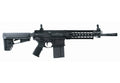 Sig 716 A4 Photo Print