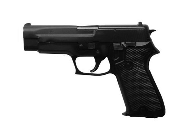 Sig Sauer P220 A4 Photo Print