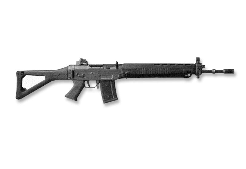 Sig Sg550 A4 Photo Print