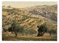 Siloam and the Tyrophean Valley Jerusalem Vintage A4 Photo Print