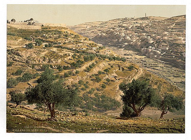 Siloam and the Tyrophean Valley Jerusalem Vintage A4 Photo Print