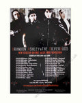 Silverbgs Tour 2009 Vintage Retro Advert Poster A4 Photo Print