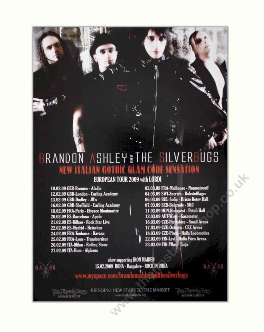 Silverbgs Tour 2009 Vintage Retro Advert Poster A4 Photo Print