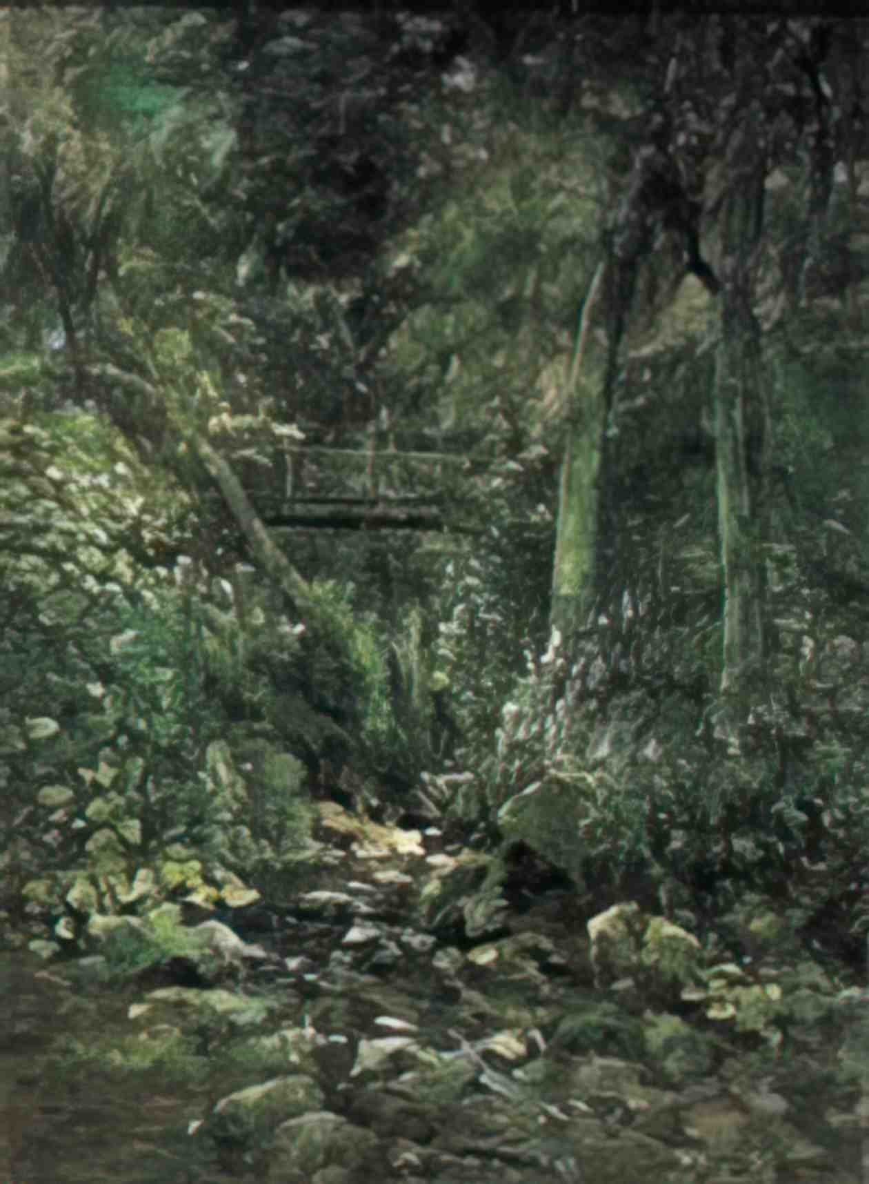 Silvestro Lega lega bosco con ninfee Art A4 Photo Print