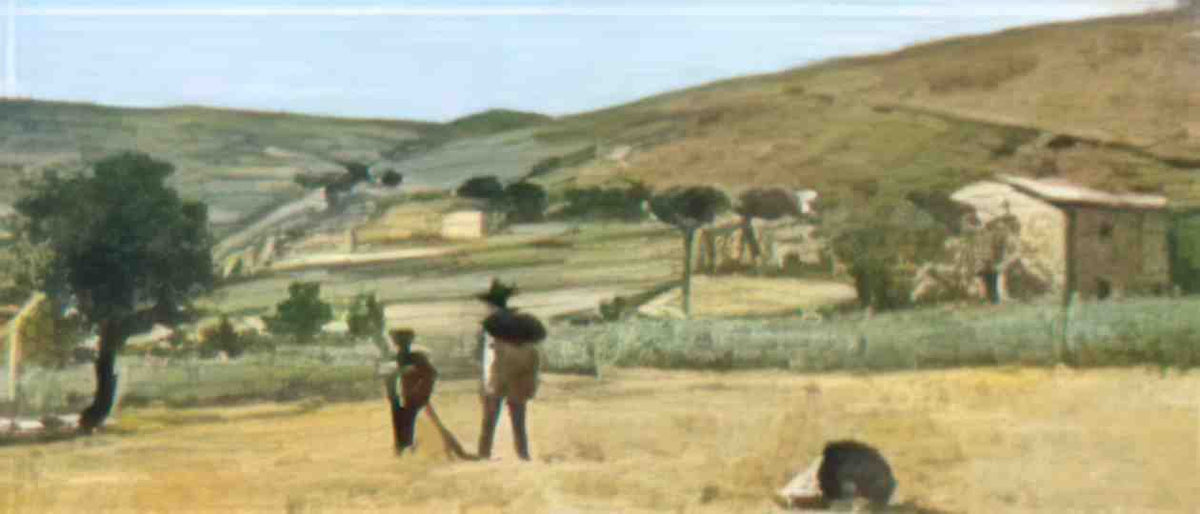 Silvestro Lega lega paesaggio del gabbro 1 Art A4 Photo Print
