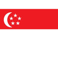 Singapore Flag N1747 A4 Photo Print