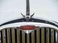 Singer Bonnet Grille Boot 2626 A4 Photo Print