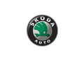 Skoda1 A4 Photo Print