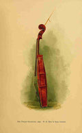 Slocombe Alfred 1836 1899 Short account of a violin by Stradivari 1889 Violin side A4 Photo Print