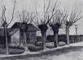 Small House On A Road With Pollard Willows 1881 A4 Photo Print