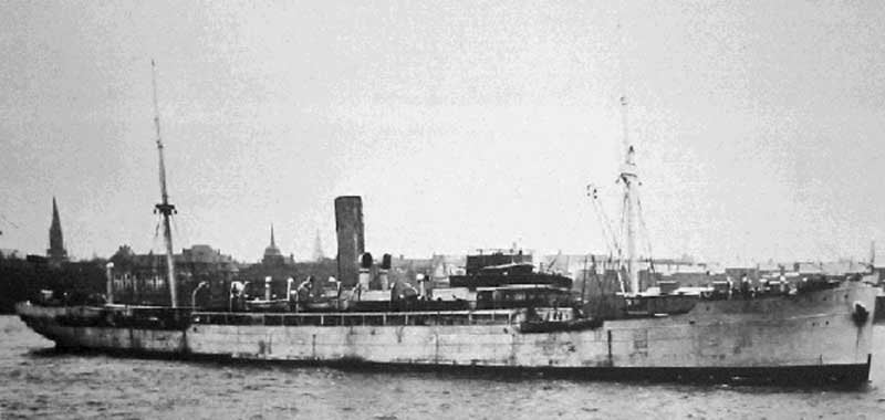 Sms Mowe A4 Photo Print