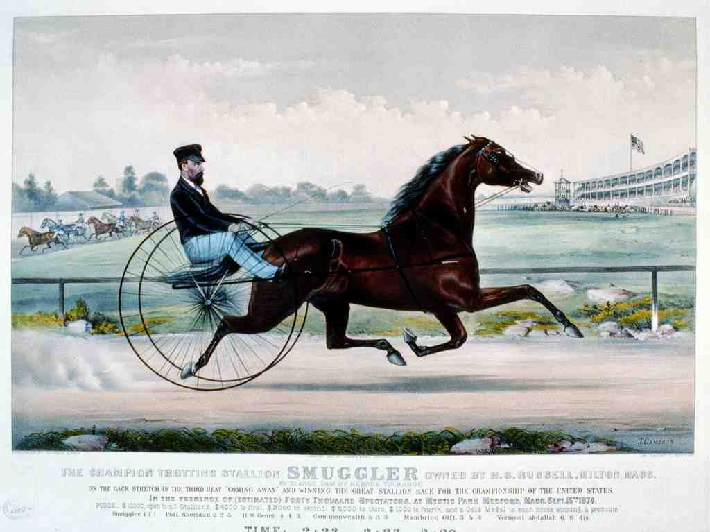Smuggler 2 Horse 001 Vintage A4 Photo Print