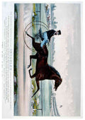 Smuggler 2 Horse A4 Photo Print