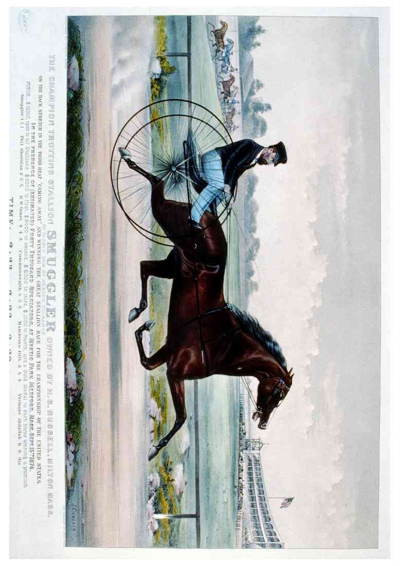 Smuggler 2 Horse A4 Photo Print