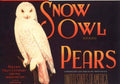 Snow Owl Pears 1930s Vintage Retro Advert Poster