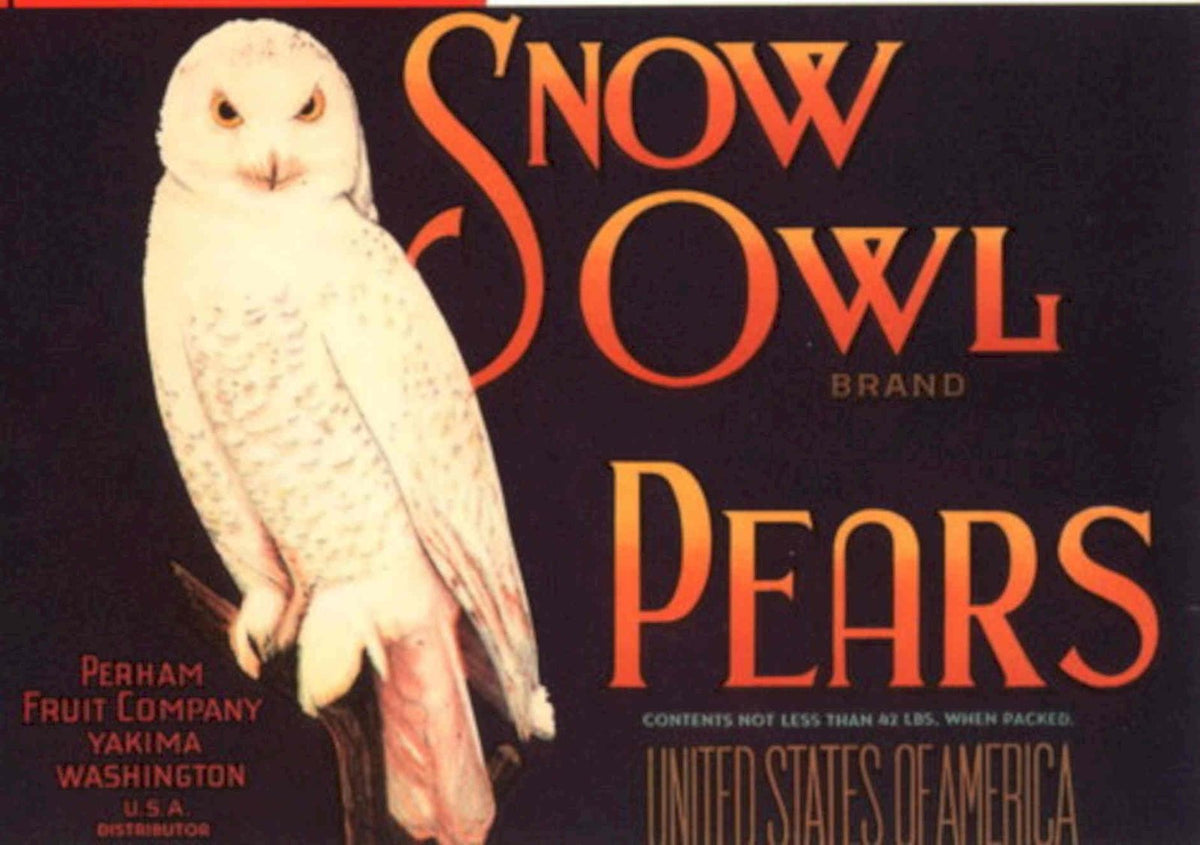 Snow Owl Pears 1930s Vintage Retro Advert Poster