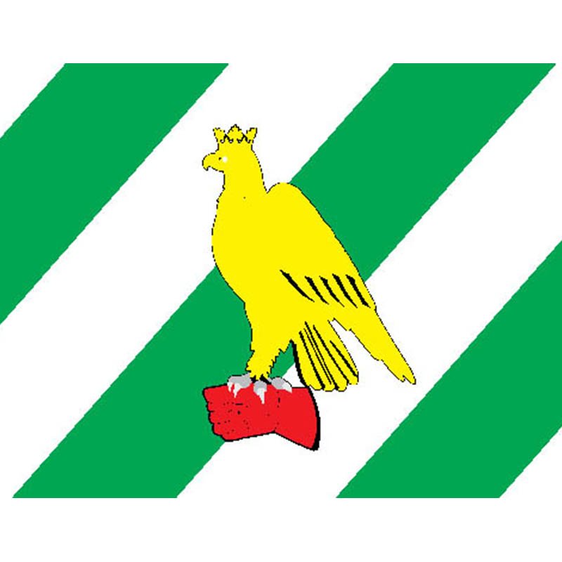 Sokolniki Mos Flag N3038 A4 Photo Print
