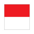 Solothurn Flag N2418 A4 Photo Print