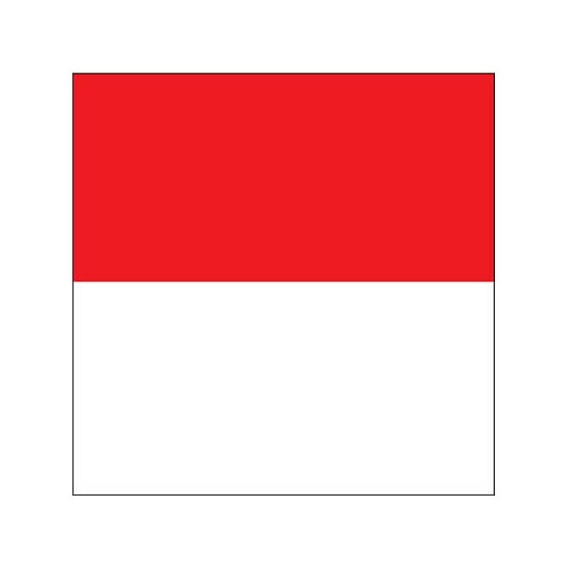 Solothurn Flag N2418 A4 Photo Print