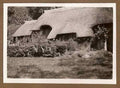 Somerset 004 Vintage A4 Photo Print
