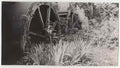 Somerset 121 Vintage A4 Photo Print