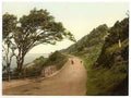 Somerset 193 Vintage A4 Photo Print