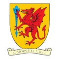 Somerset County Coat Of Arms N3965 A4 Photo Print