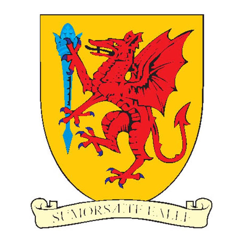 Somerset County Coat Of Arms N3965 A4 Photo Print