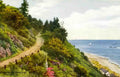 Somerset Minehead Greenaleigh Upper Road Vintage A4 Photo Print