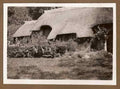 Somerset Vintage 004 A4 Photo Print