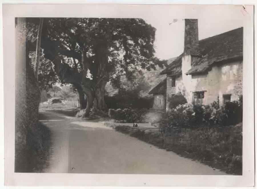 Somerset Vintage 090 A4 Photo Print