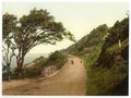 Somerset Vintage 193 A4 Photo Print