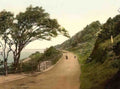 Somerset Weston Super Mare Kewstoke Road Vintage A4 Photo Print