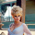 Sommer Elke 1 film star poster A4 Photo Print