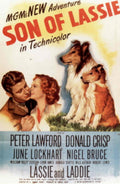 Son Lassie 1943 1940s Vintage Retro Advert Poster