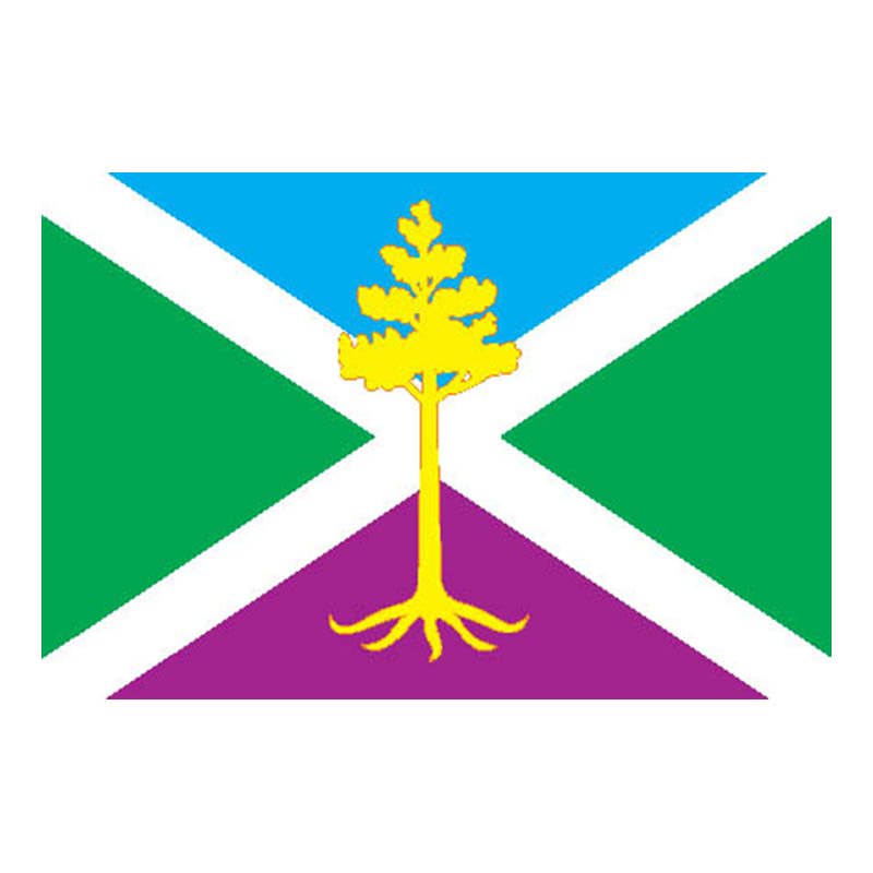 Sosensky City Flag N6635 A4 Photo Print
