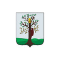 Sosnitsa1782 City Coat Of Arms N6866 A4 Photo Print