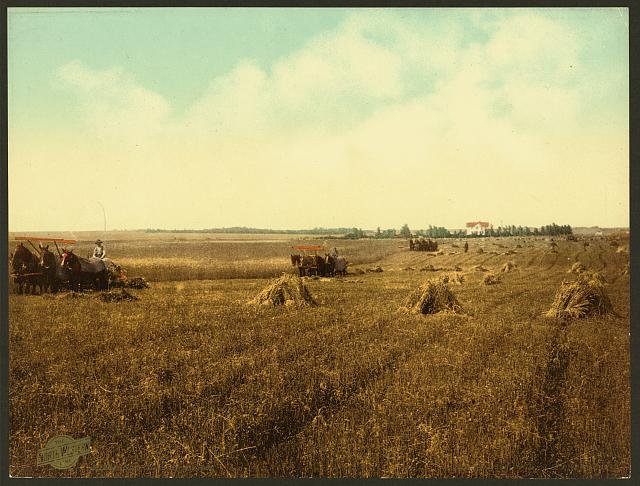 South Dakota harvest field Vintage A4 Photo Print
