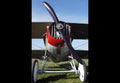 Spad Xiii Biplane Fighter 3 A4 Photo Print
