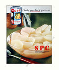 Spc Bartlett Pears 2 Vintage Retro Advert Poster A4 Photo Print