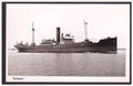 Spero 1899 Pelton Ss Co Newcastle Steam ship A4 Photo Print